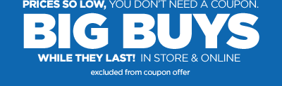 PRICES SO LOW, YOU DON'T NEED A COUPON. BIG BUYS WHILE THEY LAST! IN STORE & ONLINE excluded from coupon offer