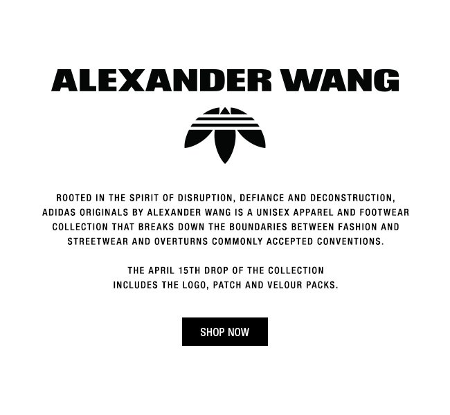 alexander wang adidas logo