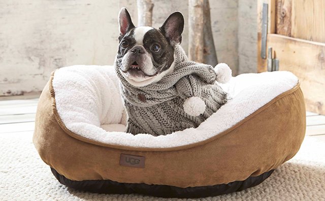 Bed Bath and Beyond: NEW UGG®: Gifts 