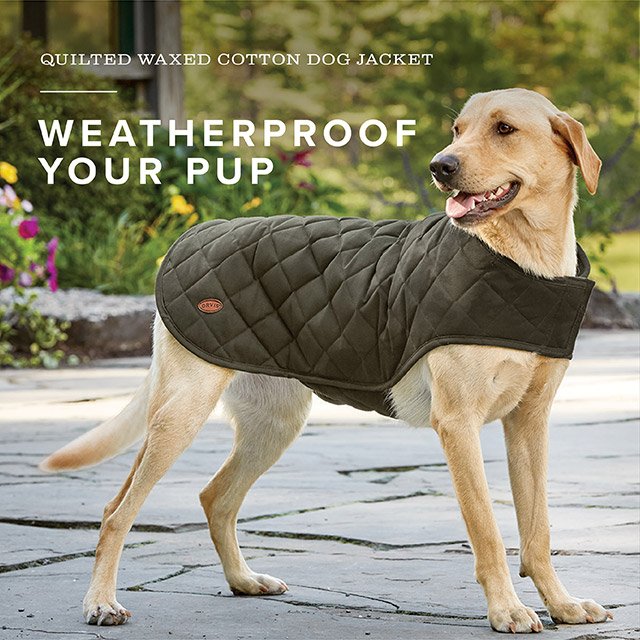 orvis barbour quilted dog coat 