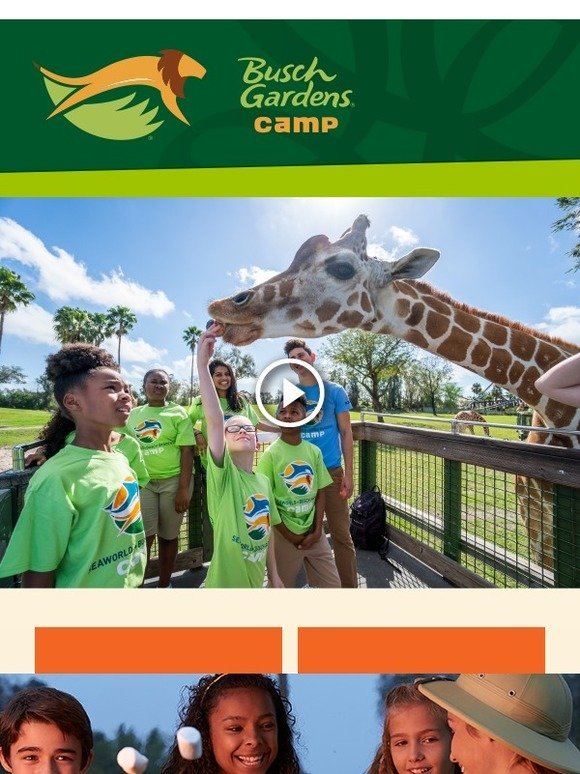 Seaworld Parks Book Our Wildest Summer Camps Today Milled