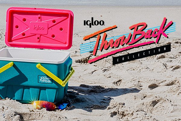 the picnic cooler by igloo