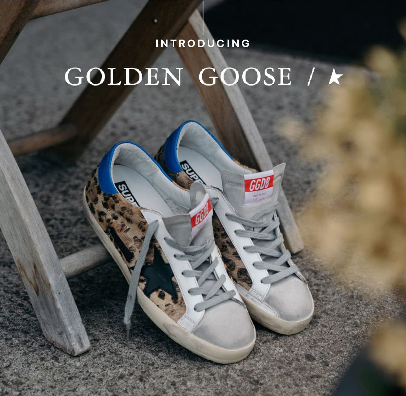 The New Trend: Introducing GOLDEN GOOSE 