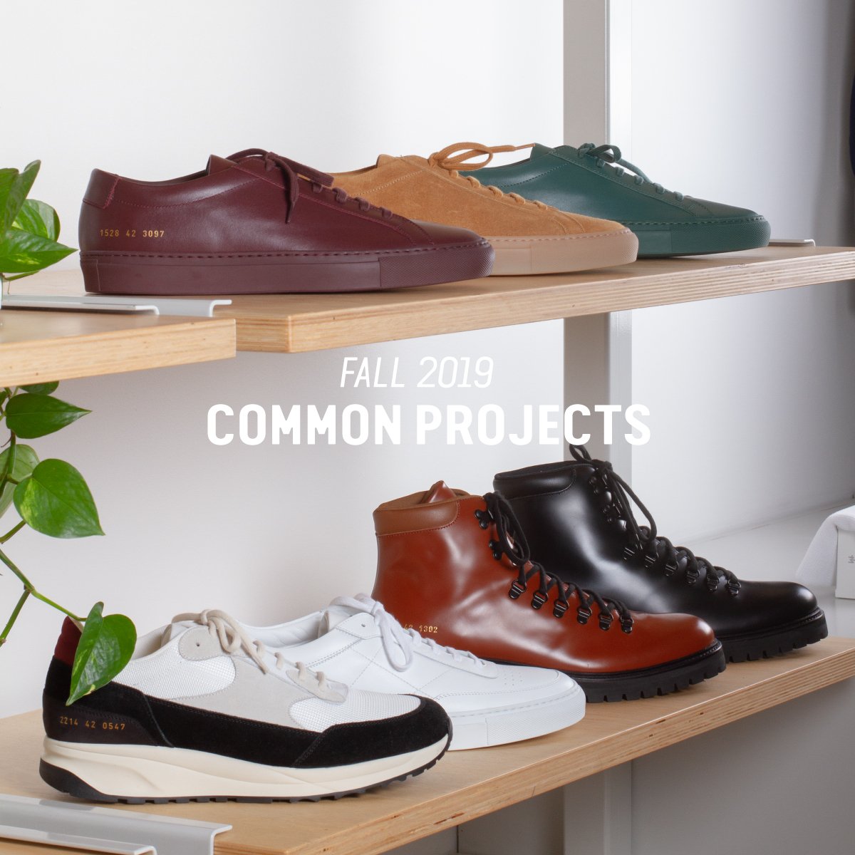 common projects summer 2019