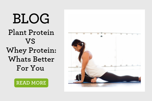 Blog plant protein vs whey protein: whats better for you