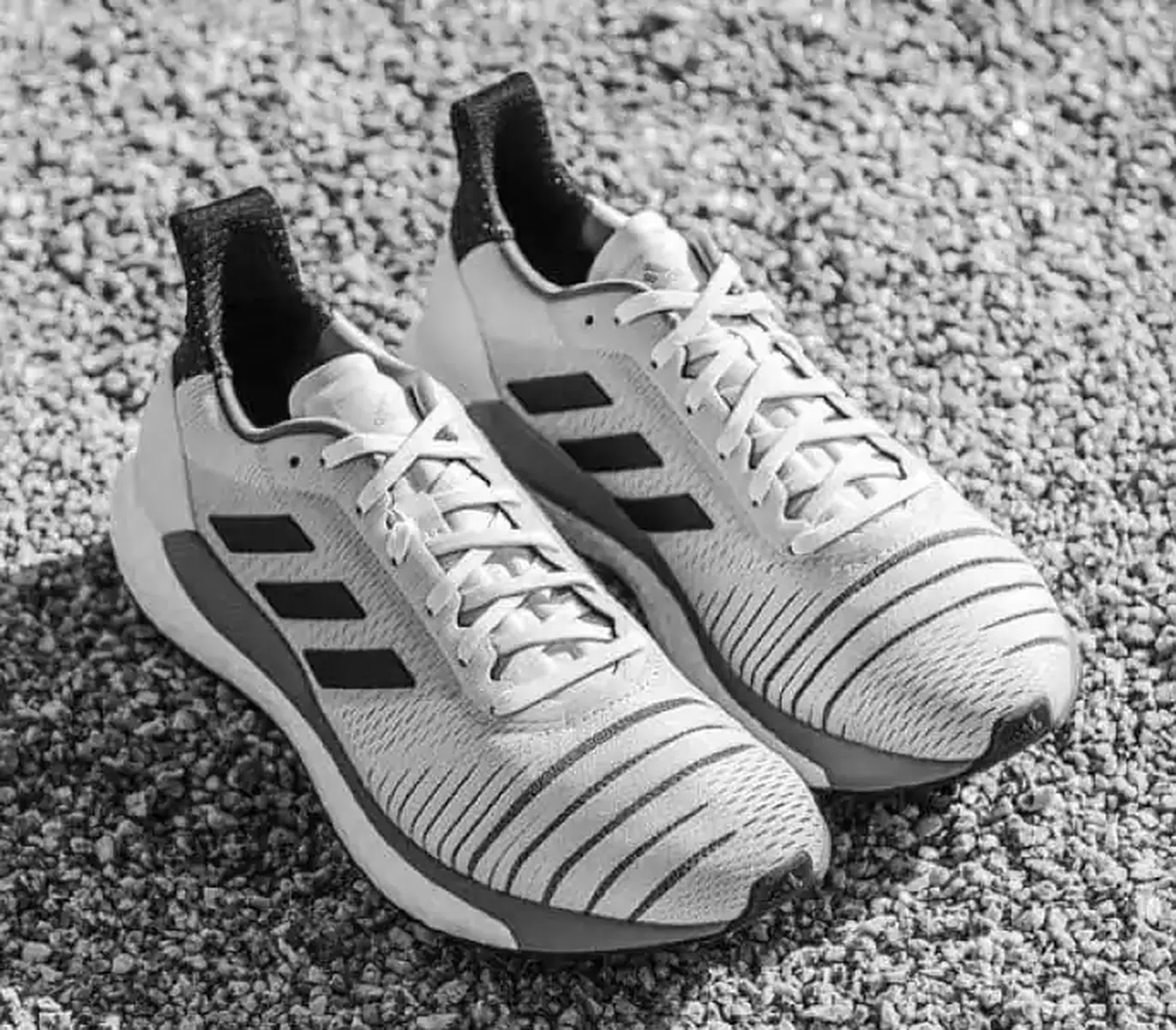 adidas trainers sport direct