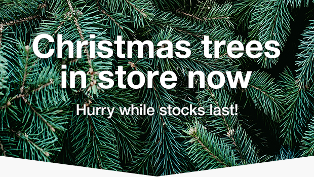 Wickes Christmas Trees Are Now In Store Milled