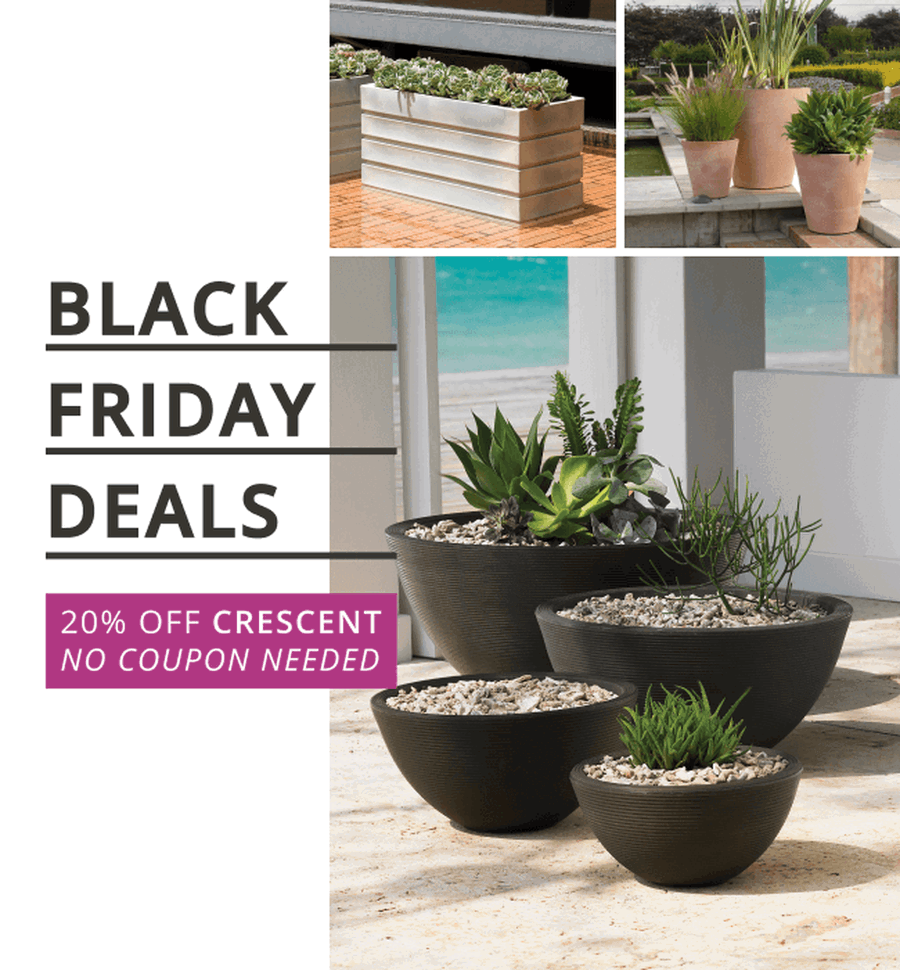 Eplanters Com Two Days Left To Enjoy 20 Off On Crescent Garden