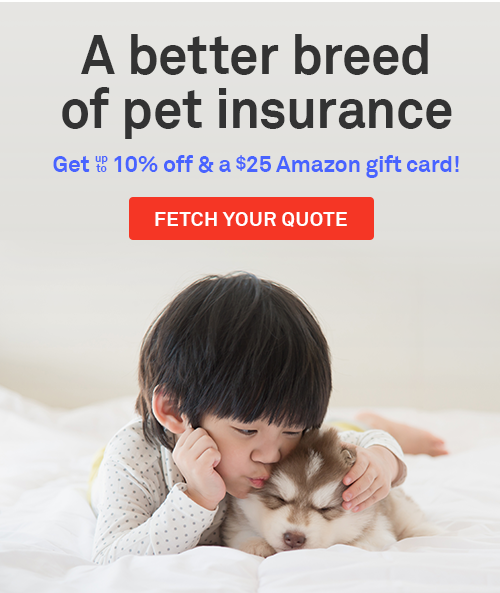 A better breed of pet insurance. Get up to 10% off and a $25 Amazon gift card! Fetch your quote!