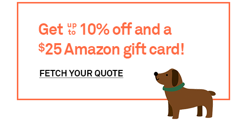 Get up to 10% off and a $25 Amazon gift card! Fetch Your Quote