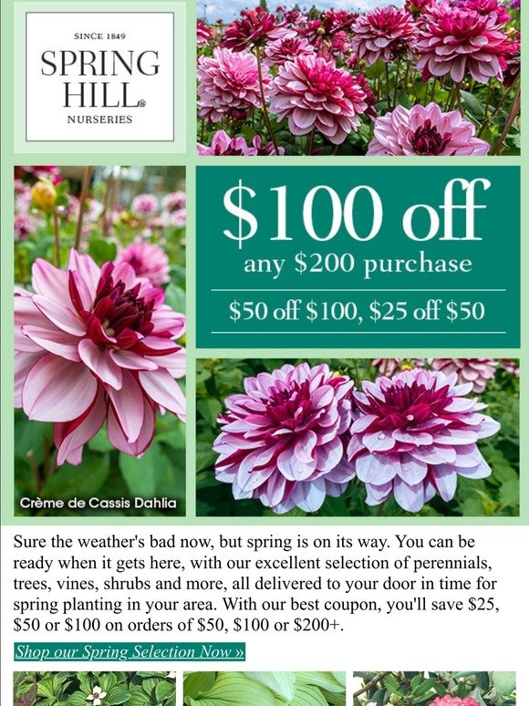 Spring Hill Nursery It S High Time For Our Biggest Coupon Milled