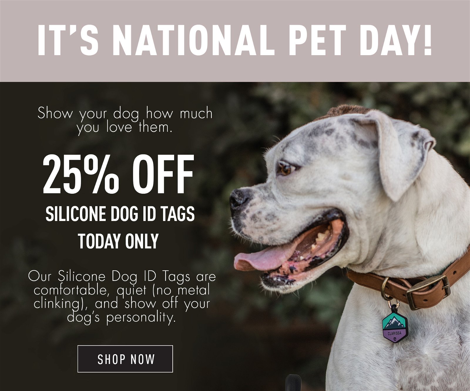 Qalo Dog Tags Review Clearance, 55% OFF | www.aboutfaceandbody.net