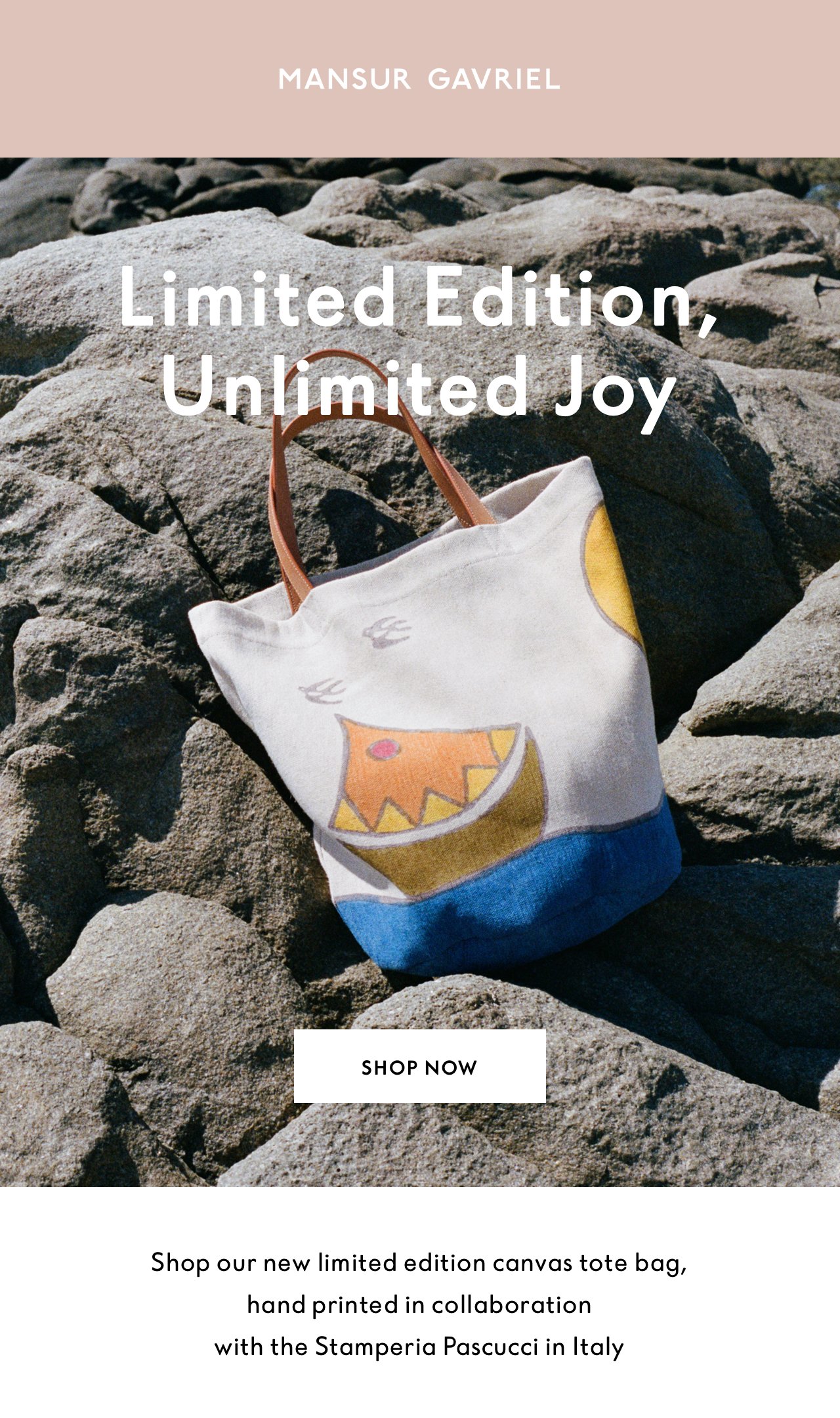 Mansur Gavriel: Limited Edition, Unlimited Joy: Shop our new Pascucci Tote  Bag