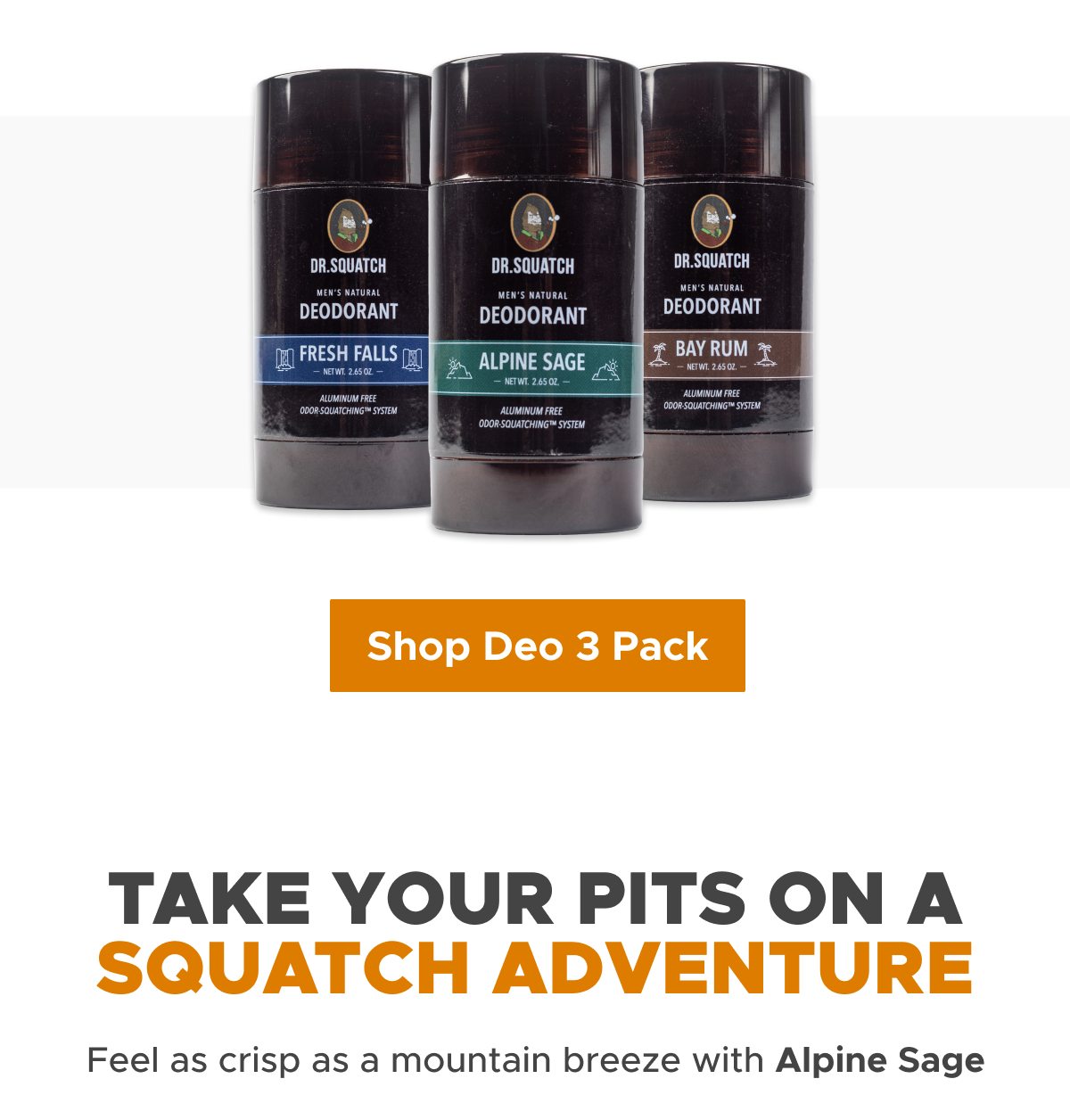  Dr. Squatch Natural Deodorant for Men 3 Pack Fresh Falls –  Odor-Squatching Men's Deodorant Aluminum Free (2.65 oz, 3 Pack) : Beauty &  Personal Care