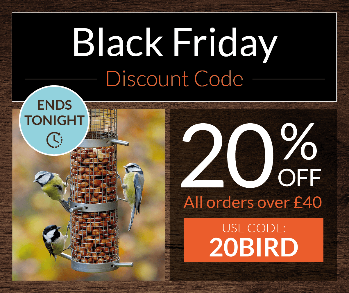 all birds discount code