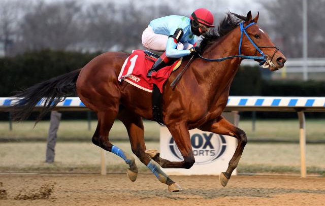 Capo Kane in the Jerome at Aqueduct